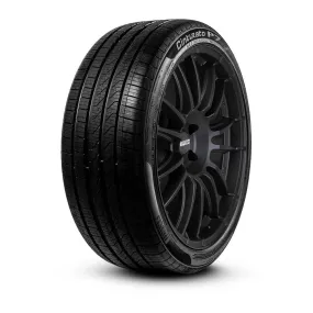 Cinturato P7 All Season Plus II - 205/50R17 93H