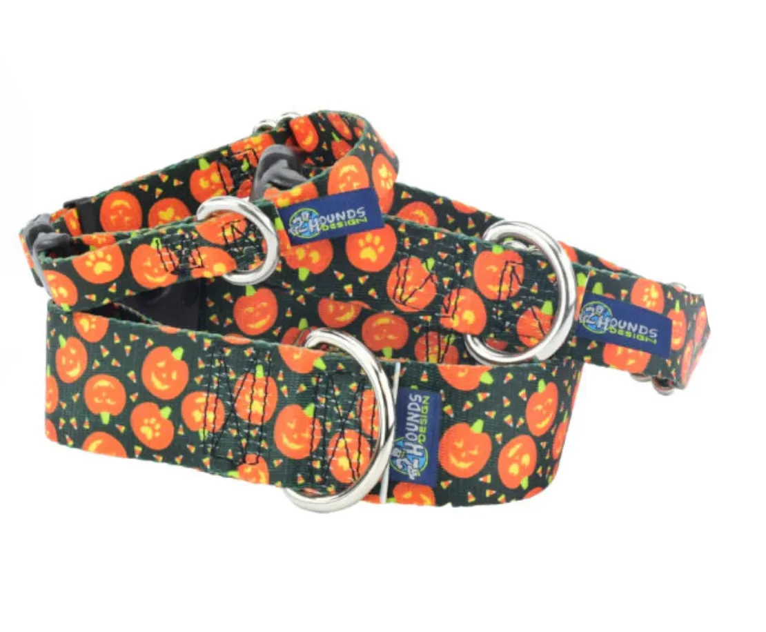 Jack O Lantern Dog Collars and/or Leash