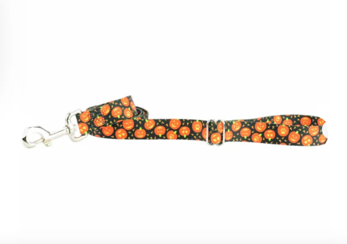 Jack O Lantern Dog Collars and/or Leash